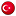 Türkçe